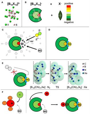 New Perspectives in the Noble Gas Chemistry Opened by Electrophilic Anions